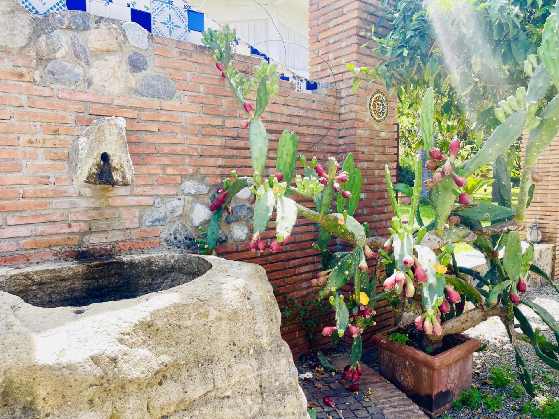 Bed and Breakfast Borgo Camicia In Барчеллона-Поццо-ди-Готто Экстерьер фото